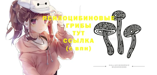 винт Абаза
