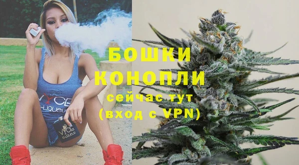 винт Абаза