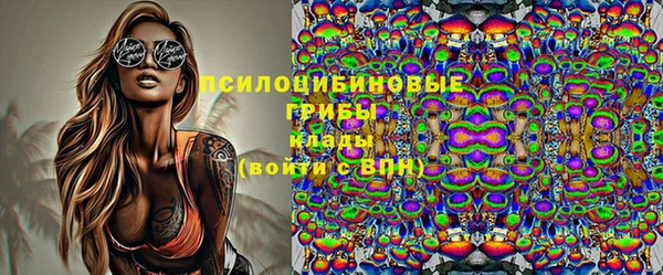 твердый Алексеевка