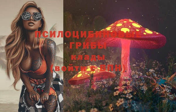 винт Абаза